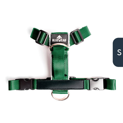 Arnés clásico - Esmeralda