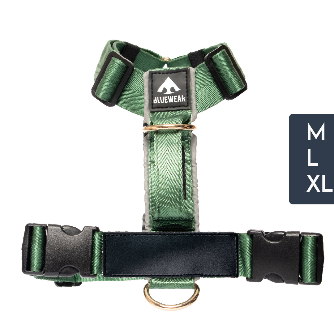 Arnés clásico - Esmeralda