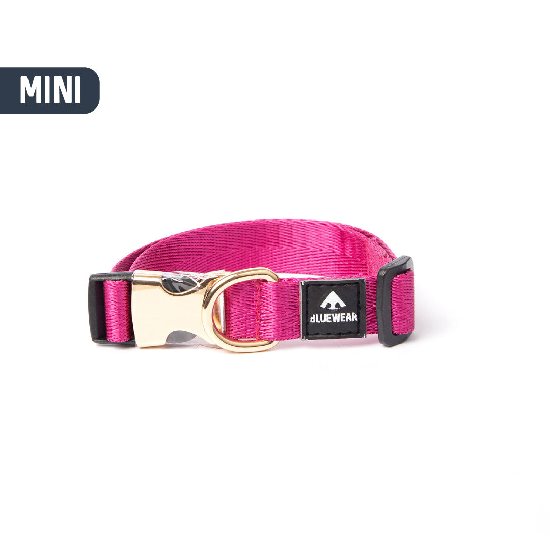 Collar light - Para perritos mini, toy o cachorros.