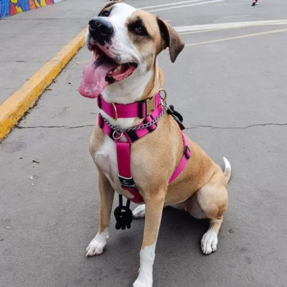 Arnés clásico - Fucsia