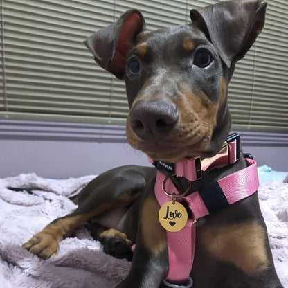 Arnés clásico - Rosa Barbie