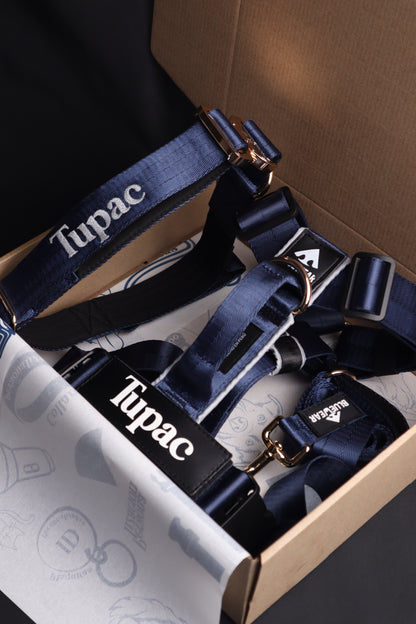 Arnés clásico - Azul Marino