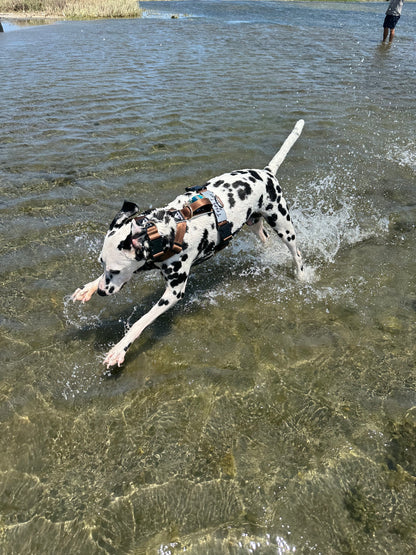 Arnés clásico - Marrón Metálico