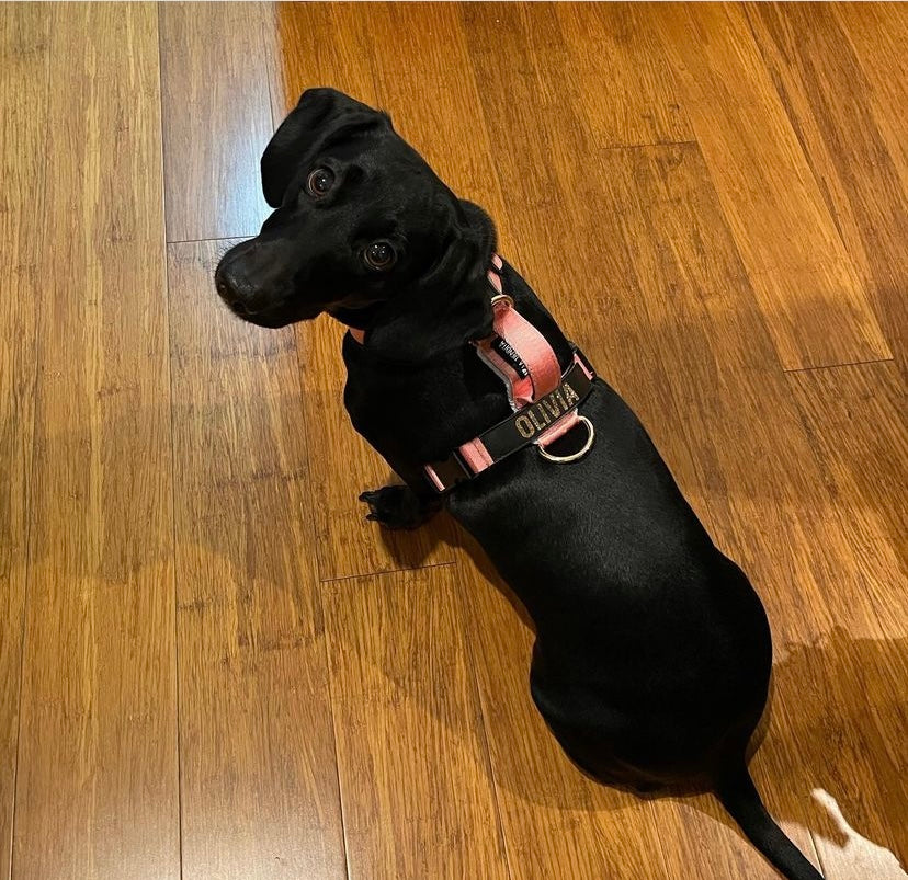 Arnés clásico - Rosa Barbie