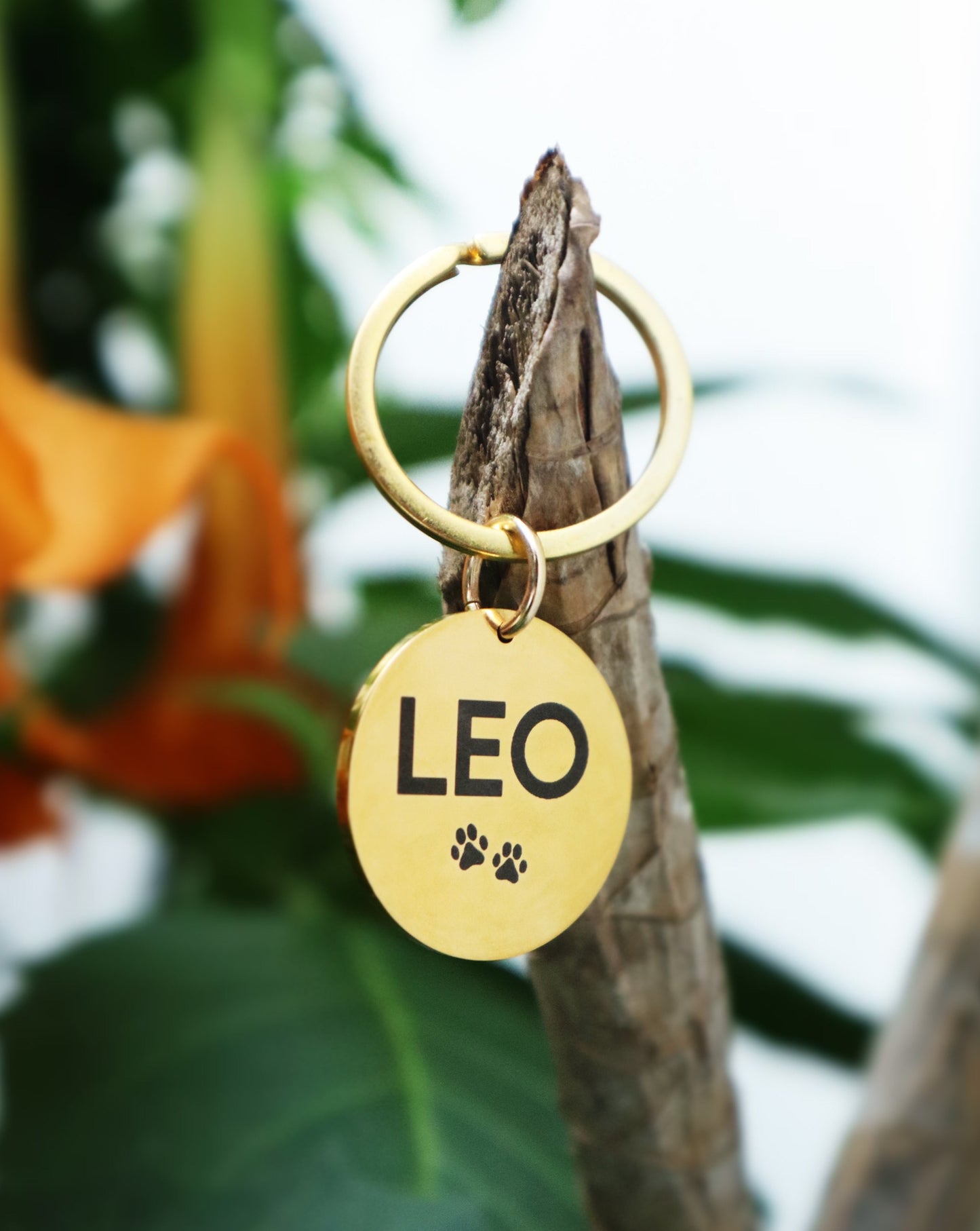 Plaquita de identificación - Colección Minimalista