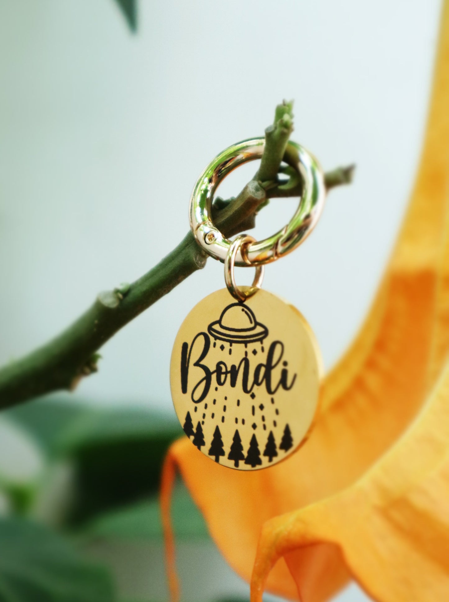 Plaquita de identificación - Colección Naturaleza