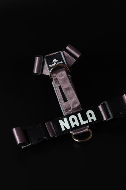 Arnés clásico - Lila