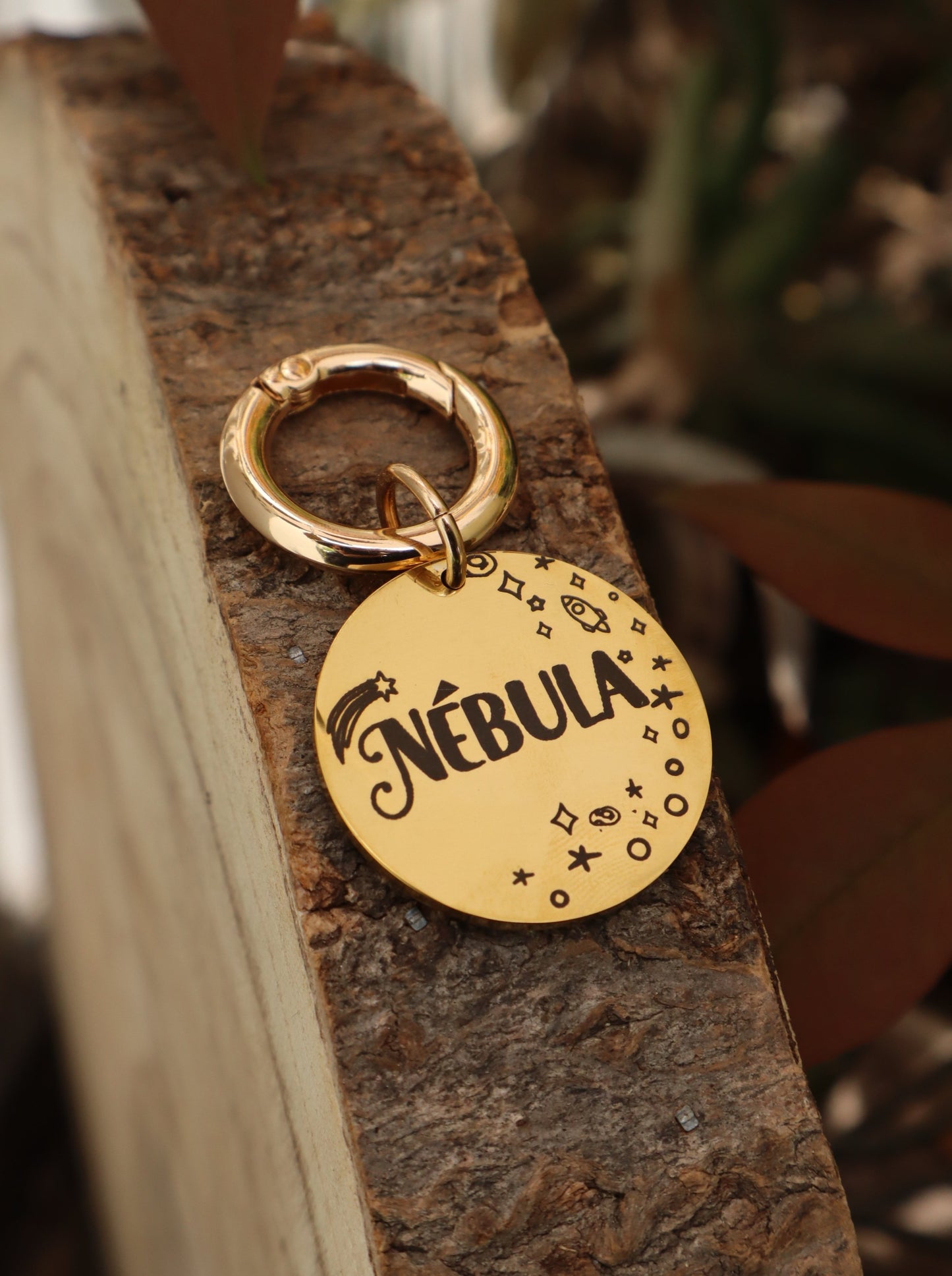 Plaquita de identificación  - Colección Astros y estrellas