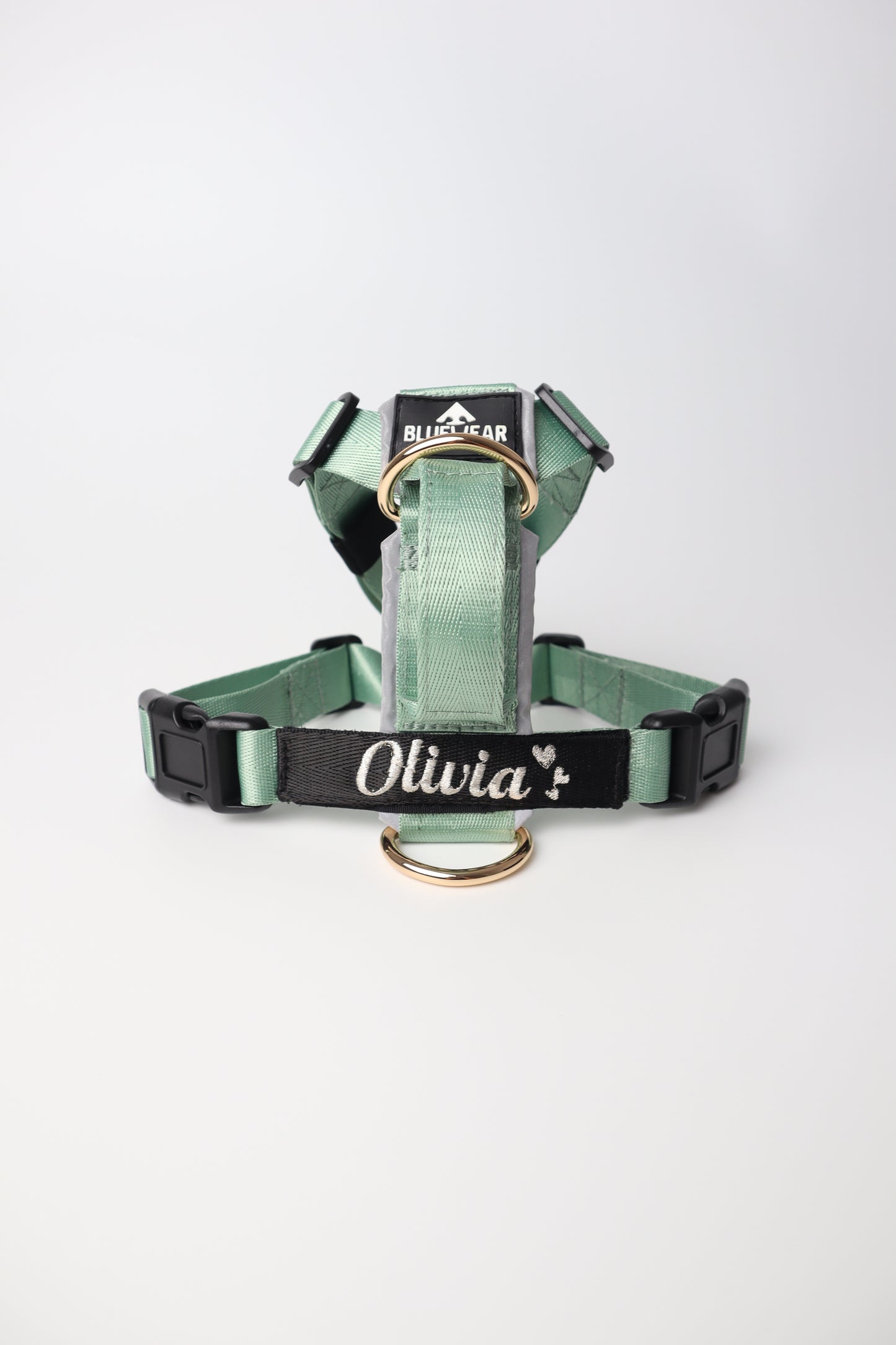 Arnés clásico - Menta