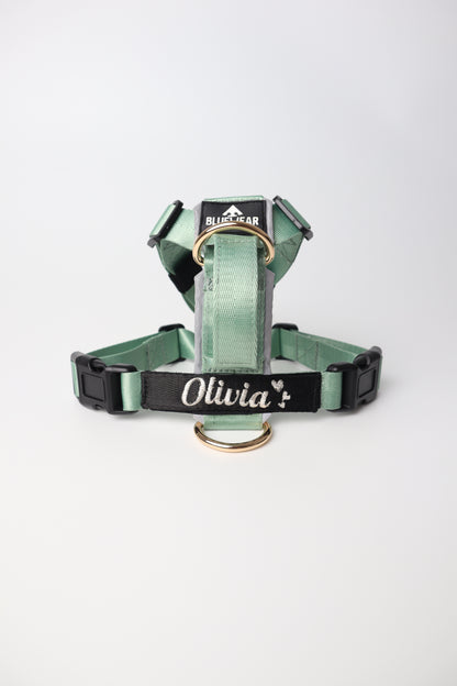 Arnés clásico - Menta