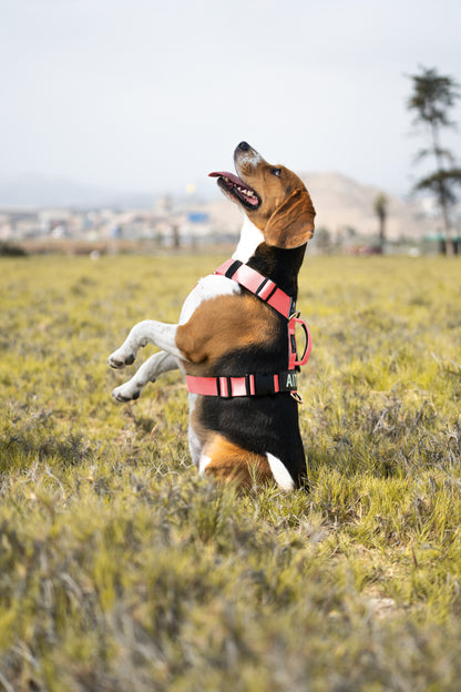 Arnés clásico - Rosa Barbie