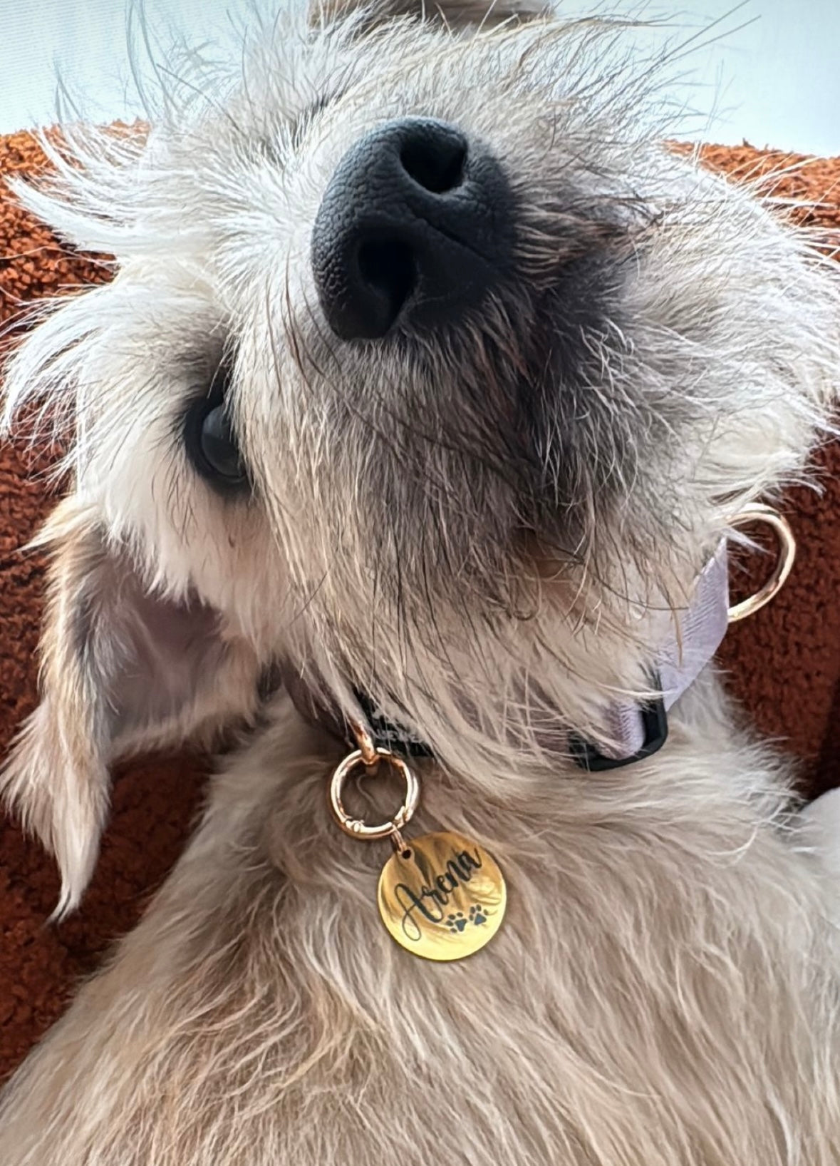 Plaquita de identificación - Colección Minimalista