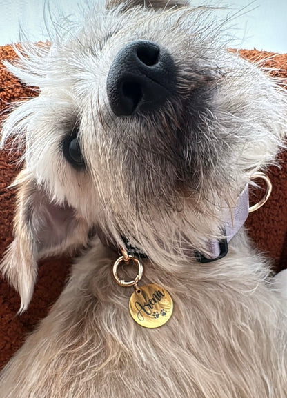 Plaquita de identificación - Colección Minimalista