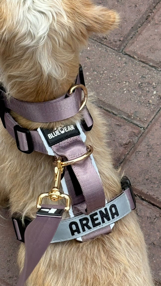 Arnés clásico - Lila