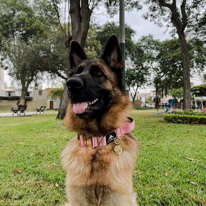 Collar Táctico Deluxe ancho con asa - Rosa Barbie