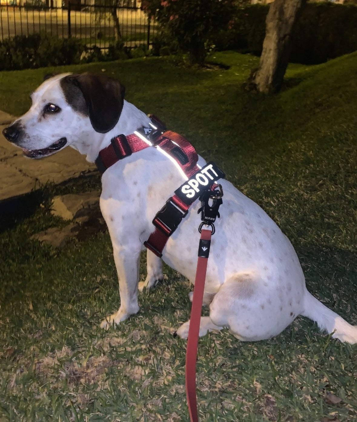 Correa larga impermeable -  Rojo