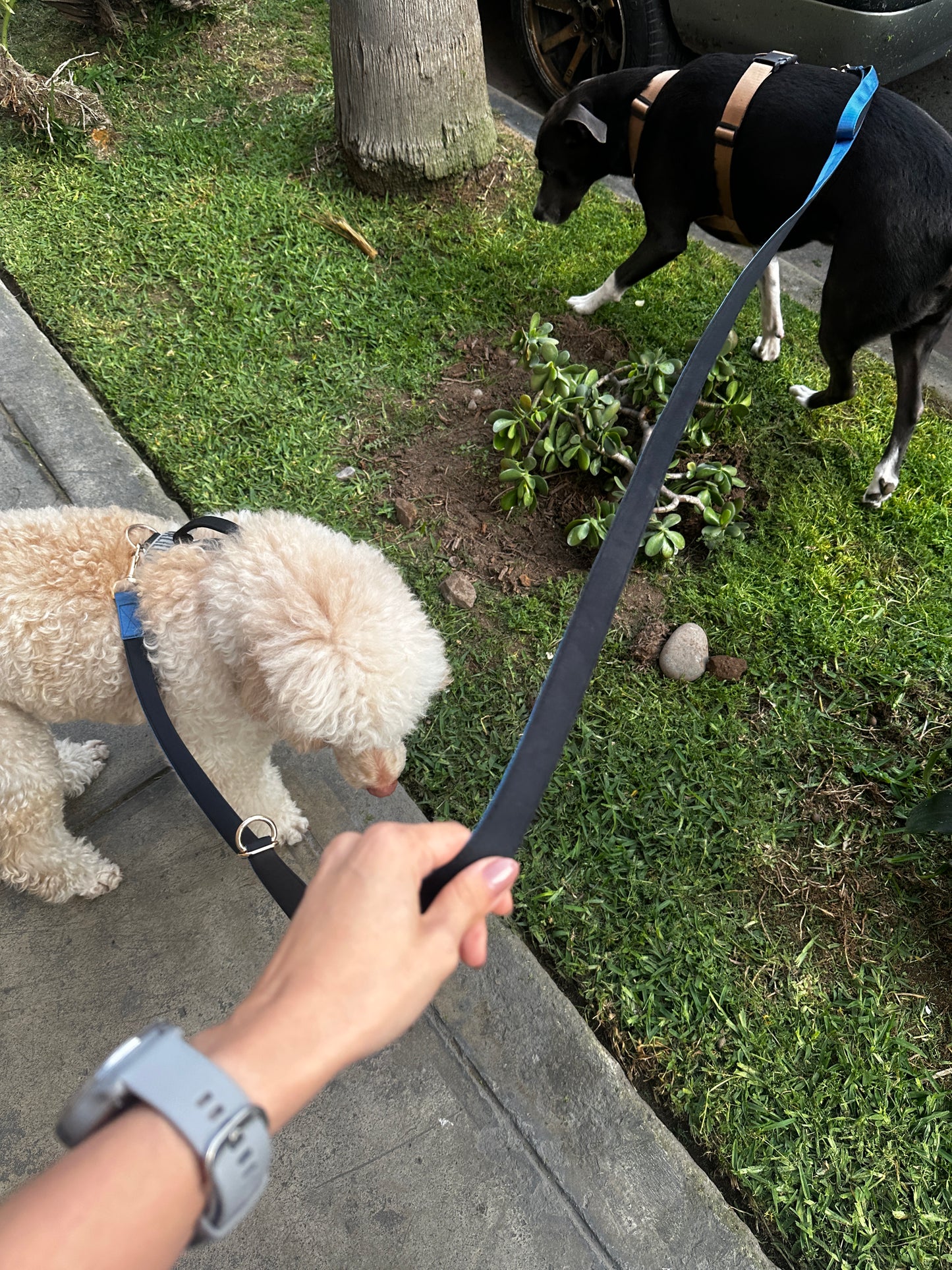 Correa manos libres multifunción