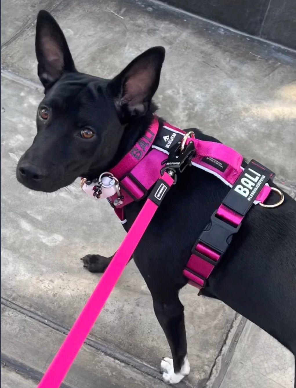 Correa larga impermeable - Fucsia