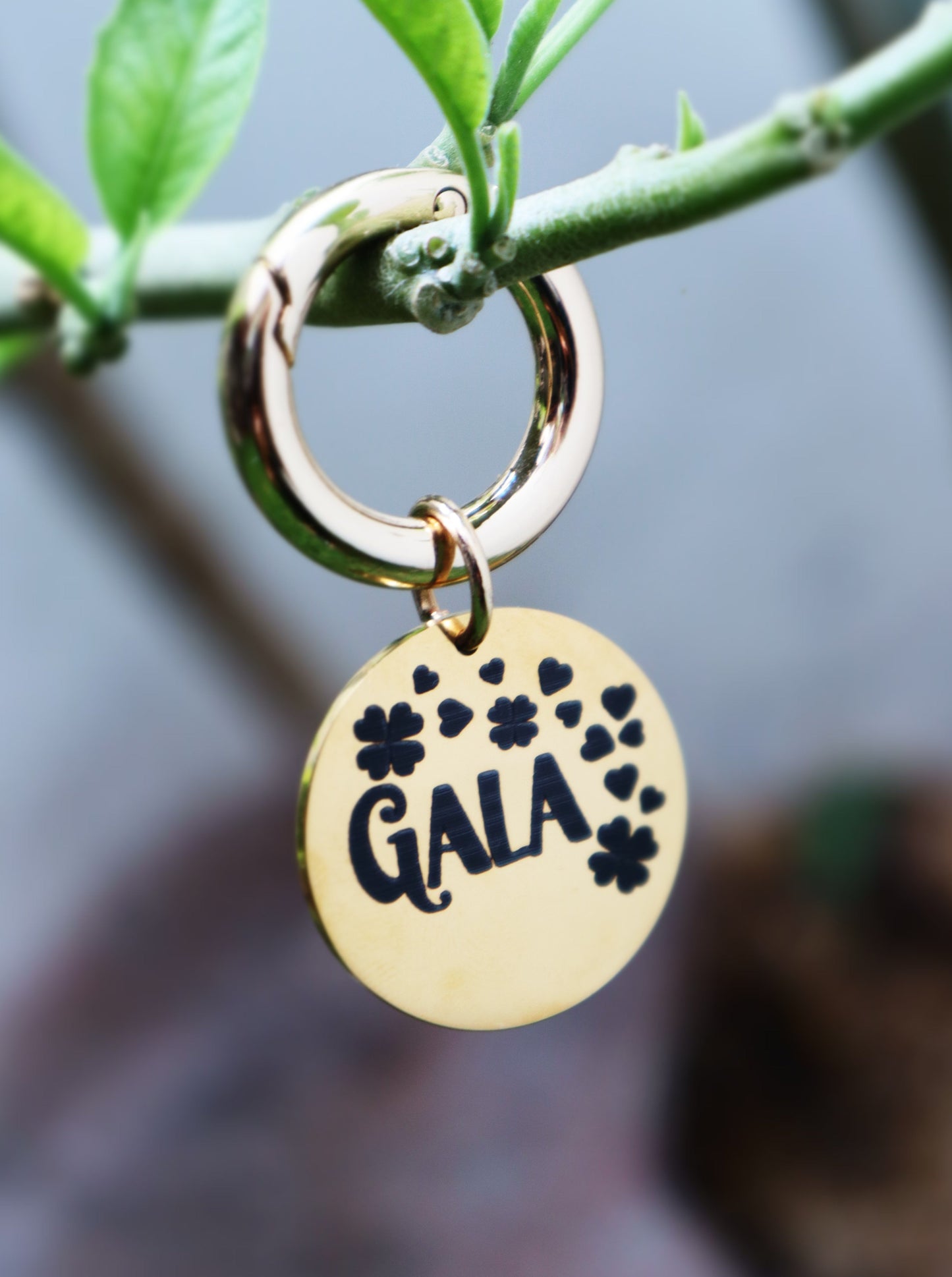 Plaquita de identificación - Colección Naturaleza