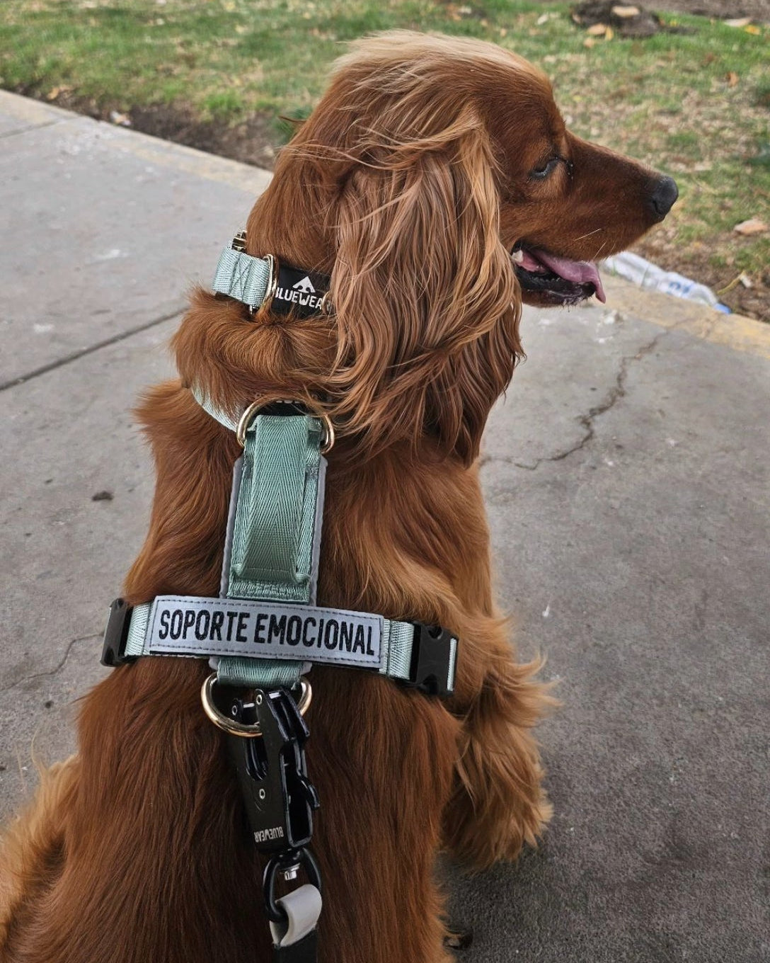 Collar Deluxe delgado - Menta