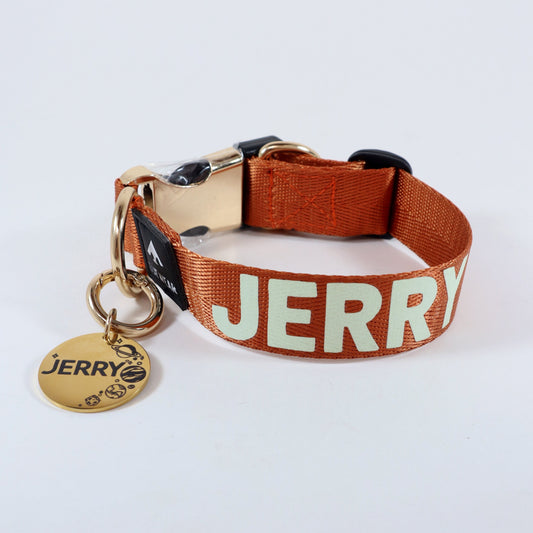 Collar delgado classic -  Ocre