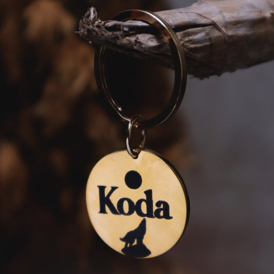 Plaquita de identificación  - Colección Astros y estrellas