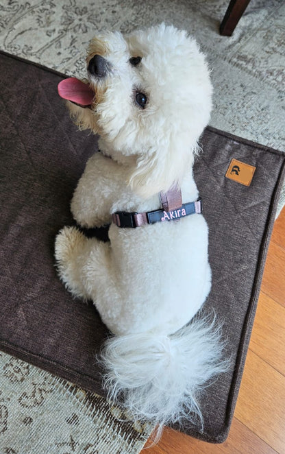 Arnés clásico - Lila