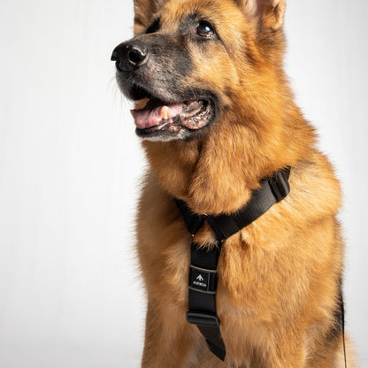 Arnés clásico - Negro