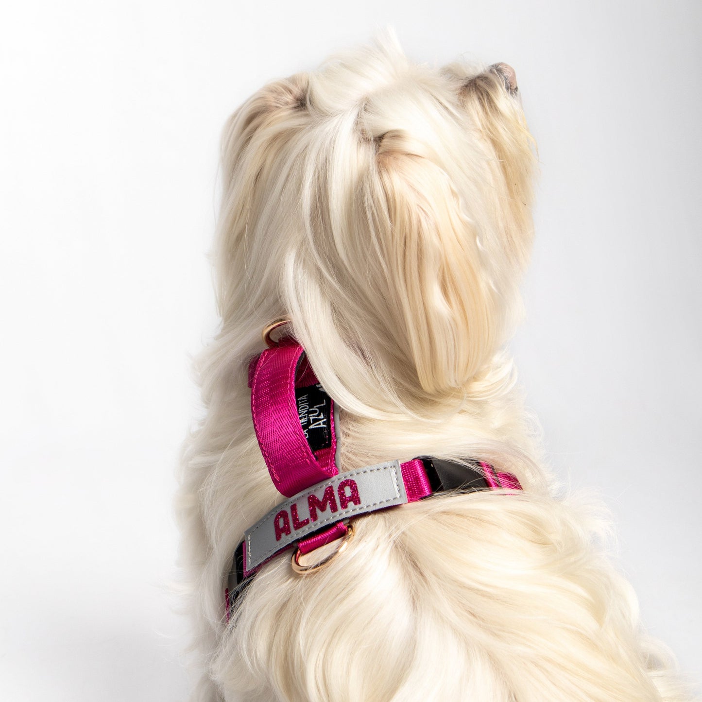 Arnés clásico - Fucsia