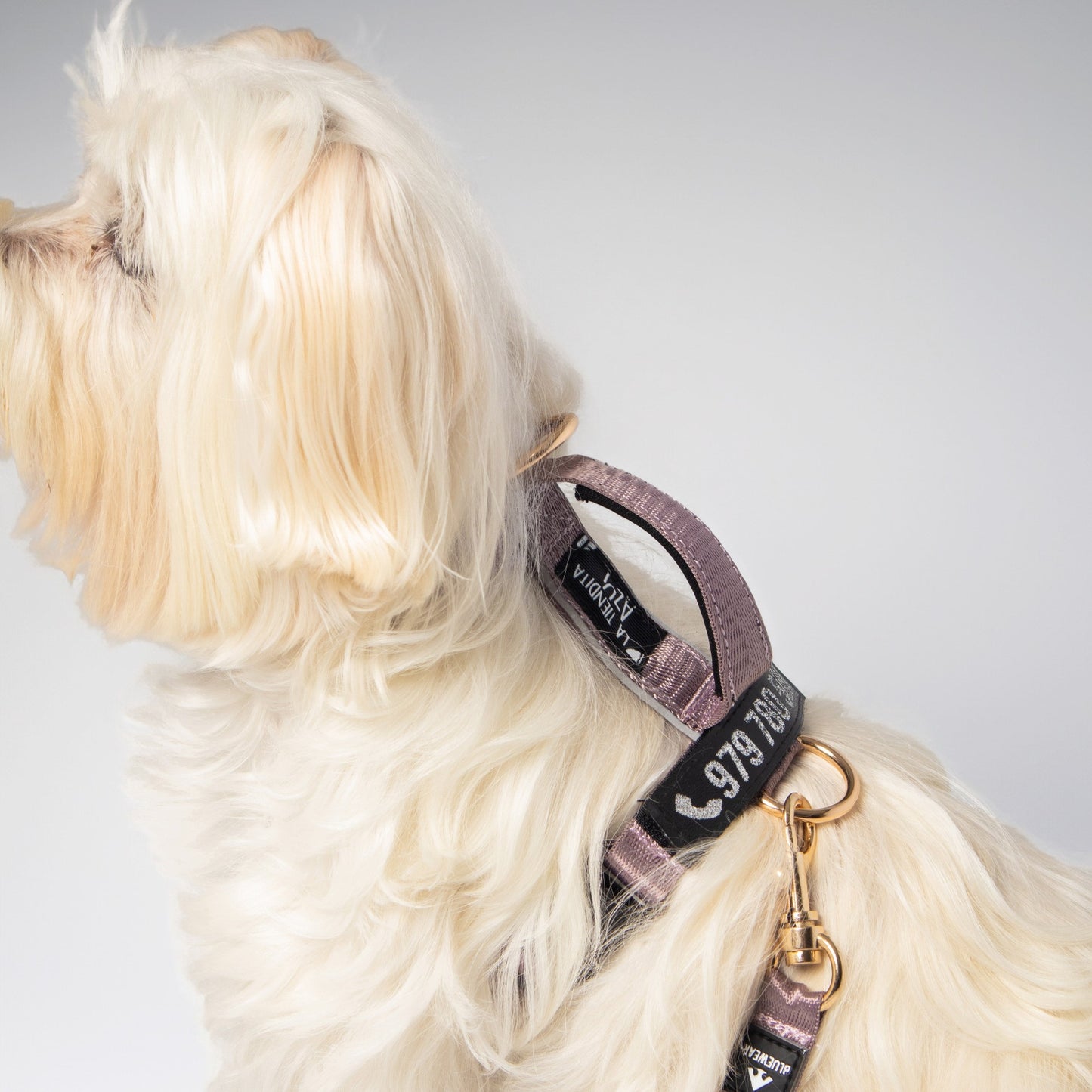 Arnés clásico - Lila