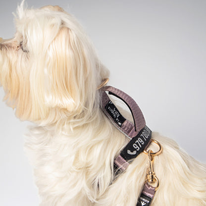 Arnés clásico - Lila