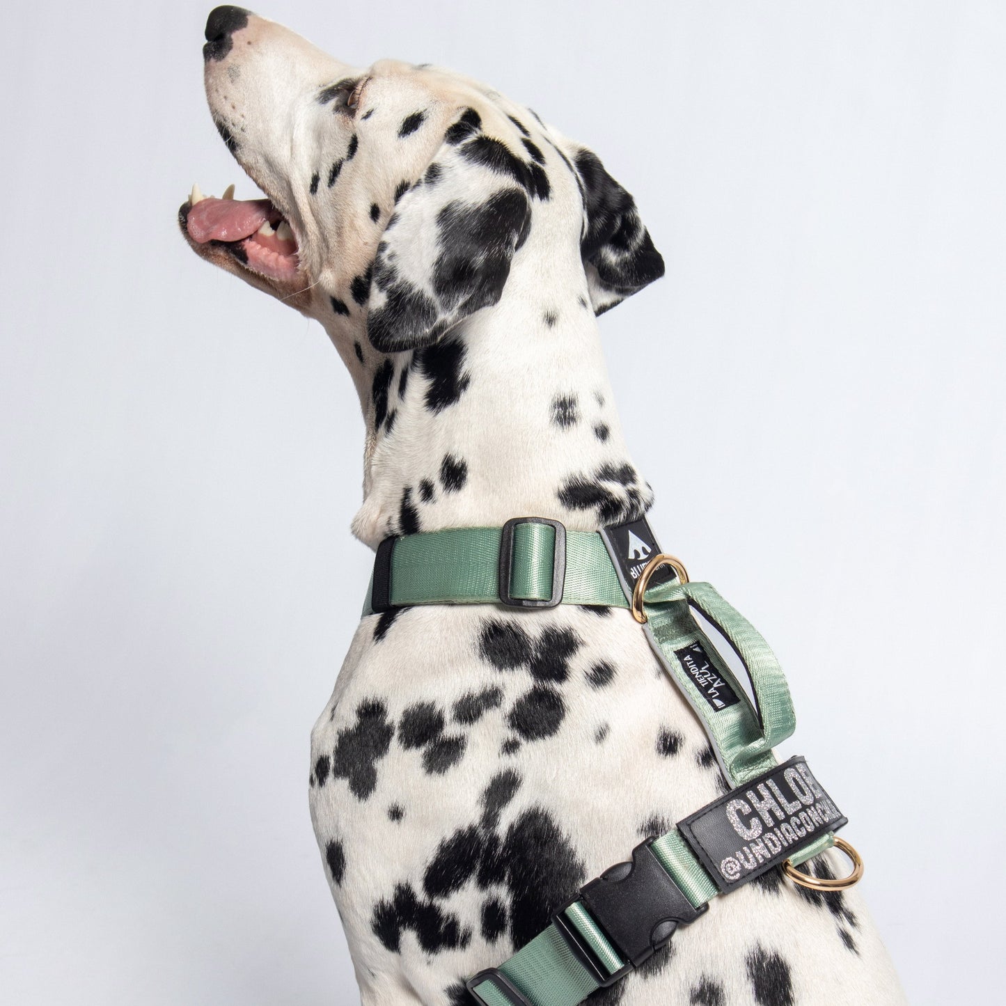 Arnés clásico - Menta