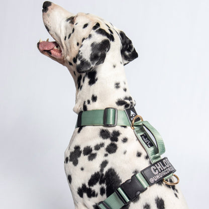 Arnés clásico - Menta