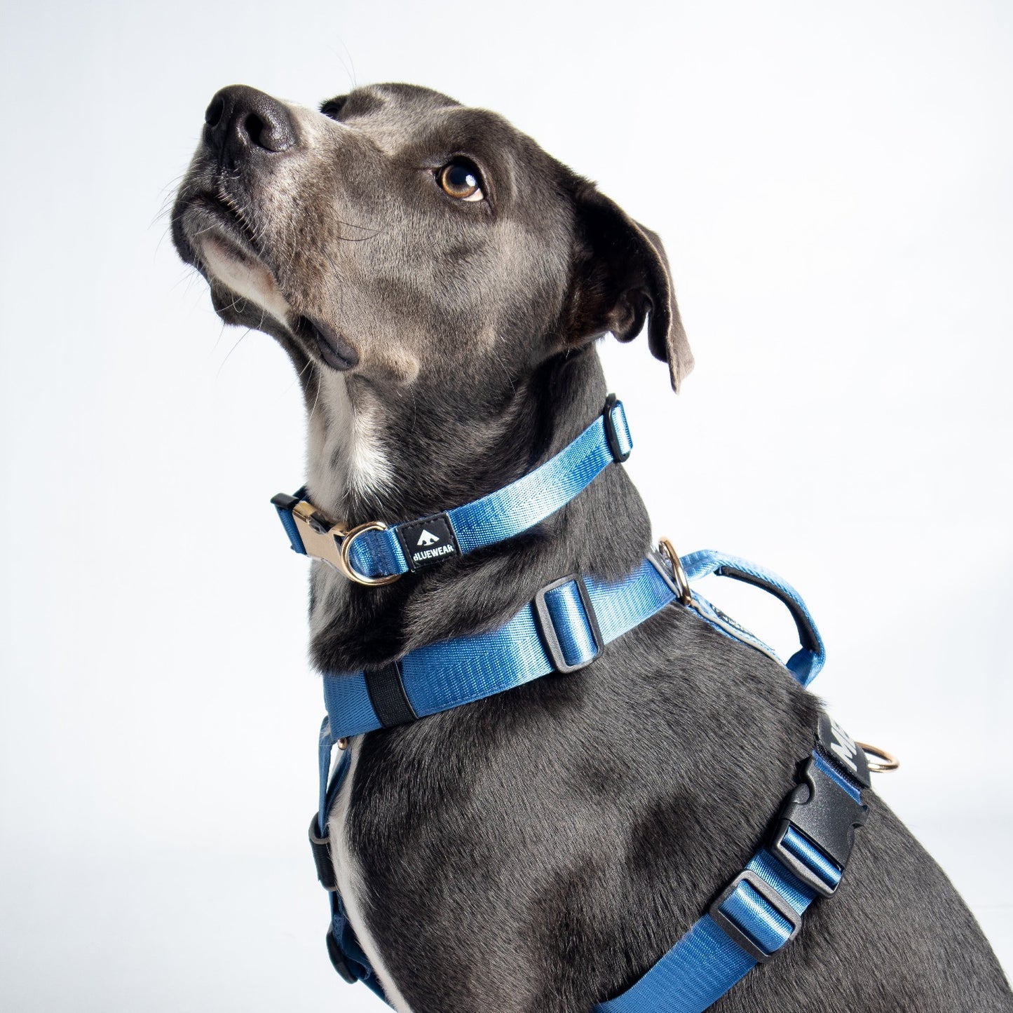 Collar delgado classic - Azul acero