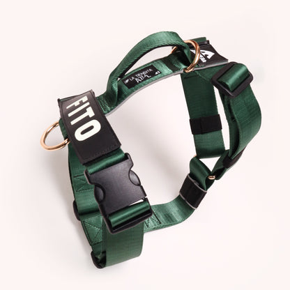 Arnés clásico - Esmeralda