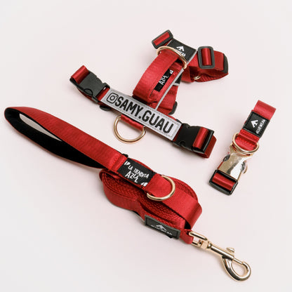 Arnés clásico - Rojo vino