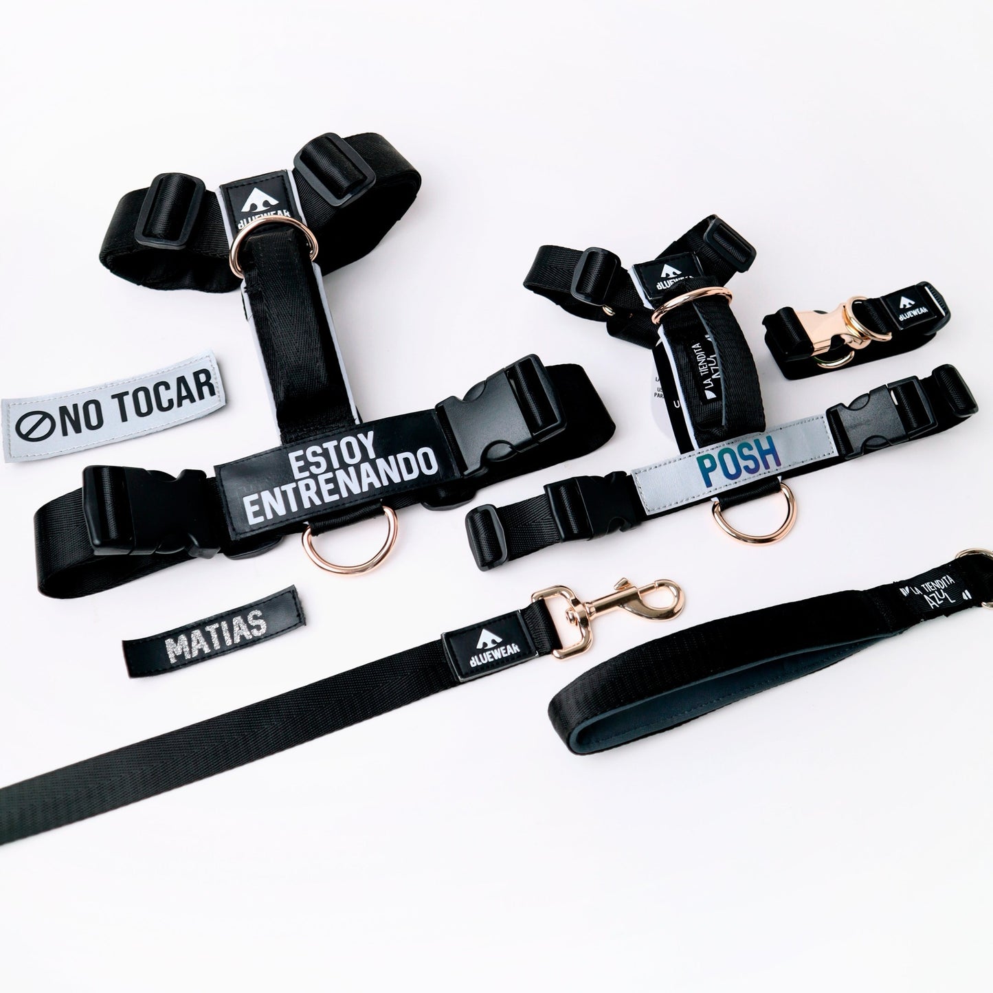 Arnés clásico - Negro