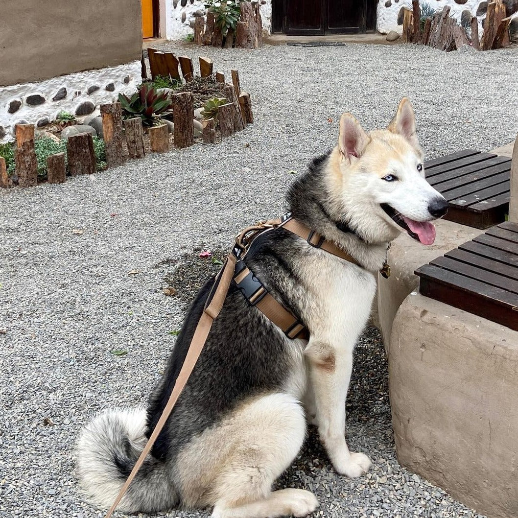 Arnés clásico - Marrón Metálico