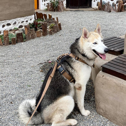 Arnés clásico - Marrón Metálico