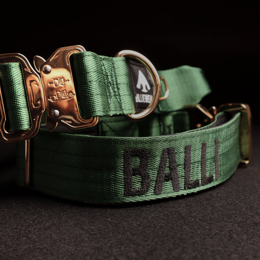 Collar Táctico Deluxe ancho con asa - Esmeralda