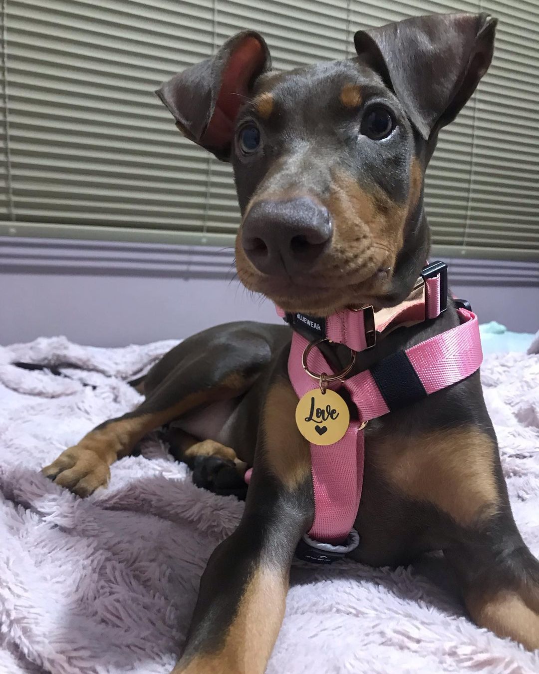 Plaquita de identificación - Colección Minimalista