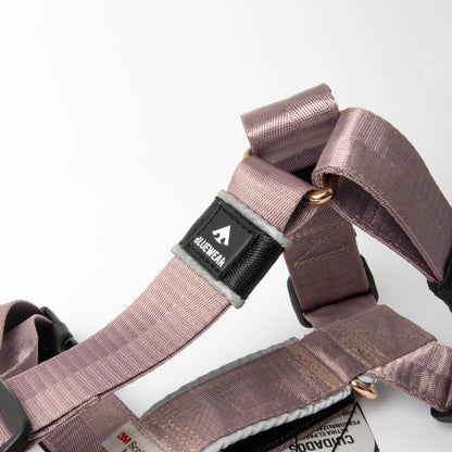 Arnés clásico - Lila