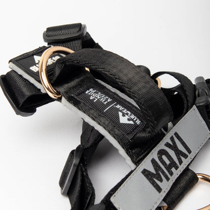 Arnés clásico - Negro