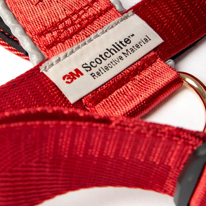 Arnés clásico - Rojo vino