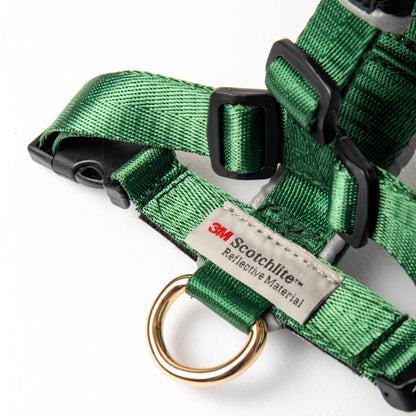 Arnés clásico - Esmeralda