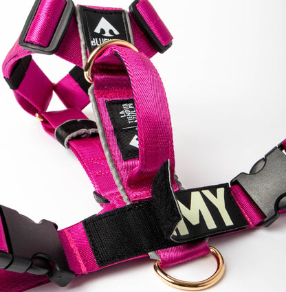 Arnés clásico - Fucsia