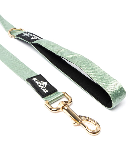 Correa clásica - Color Menta