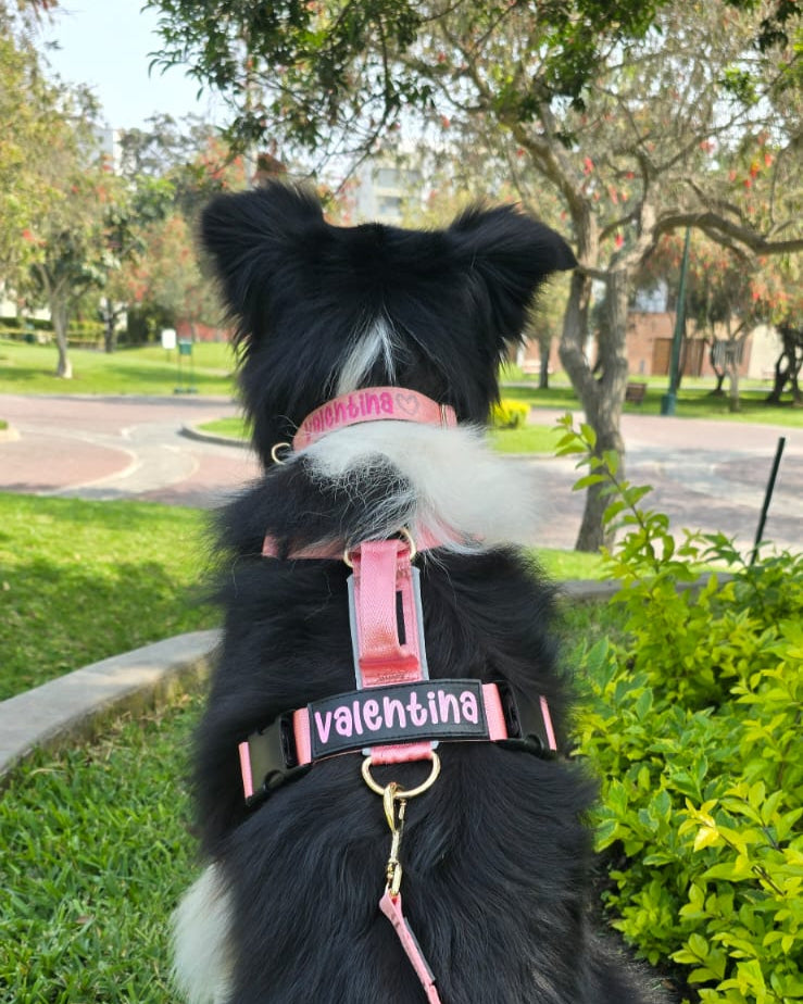 Arnés clásico - Rosa Barbie