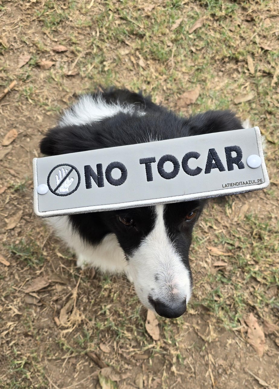 Manga personalizada para correa - Silver