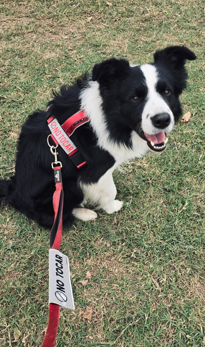 Manga personalizada para correa - Silver